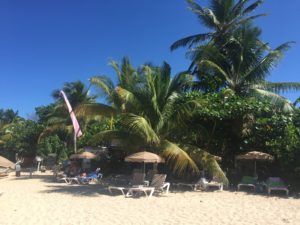 Saint-Martin : plage avec transats